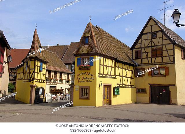 Eguisheim, Joseph Freudenreich and sons wine cellar, Alsace Wine Route, Cellar, Haut-Rhin, Alsace, France, Europe