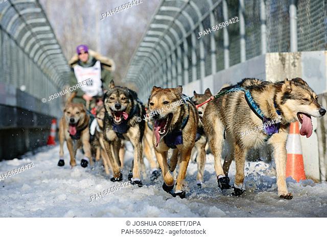 The dog team of Byron Bearss ran through warm, slushy conditions at the start of the 2015 Iditarod in Anchorage, Alaska, March 7, 2015