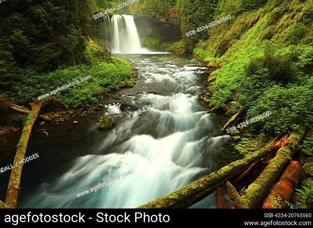 Koosah Falls and the Mckenzie River From the Mckenzie River National Scenic Trail in the Willamette National Forest of Washington