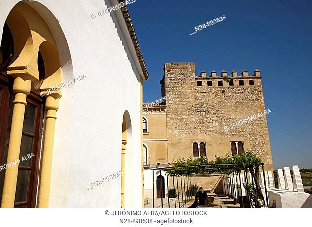 Castle and palace of the Counts of Cabra, Cabra, Cordoba province, Andalusia, Spain