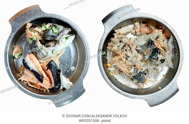 Boiled salmon head from fish soup on a metal plate. Before and after eating isolated images