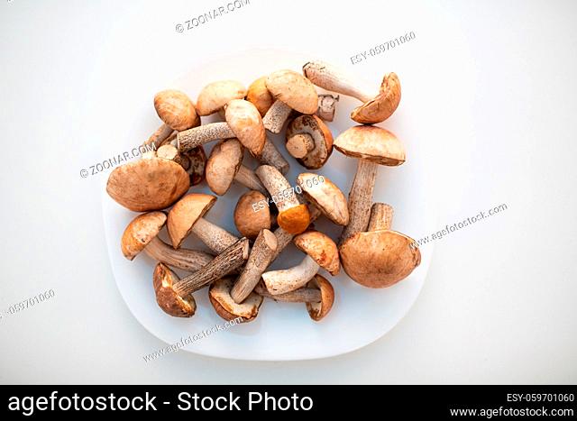 Fresh raw boletus mushrooms in white plate on white background