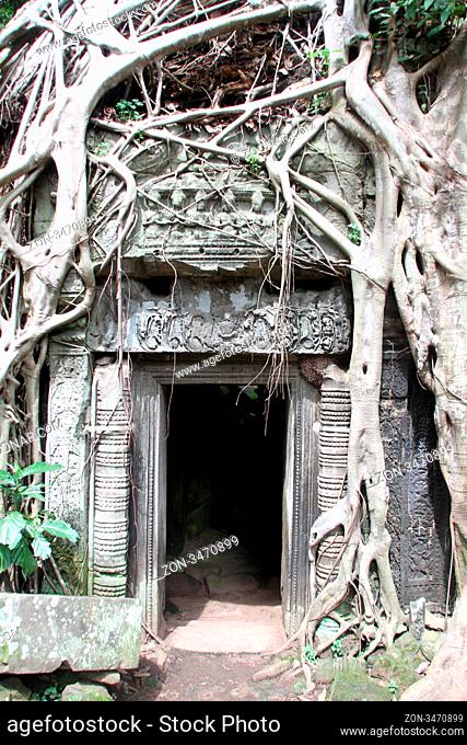Door of Ta Prom temple and roots, Angkor, Cambodia