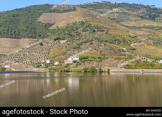 Duero River, Port Vineyards, Alto Douro Wine Region, Porto Vineyards, Alto Douro, Tras-os-Montes, Portugal, Europe