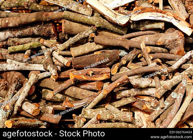 Wood texture of cut tree trunk Wood background or texture