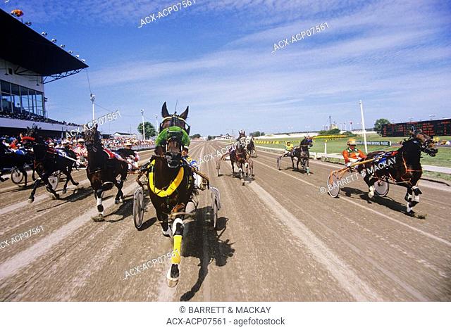 Harness racing at the Charlottetown Driving Park during Old Home Week, Prince Edward Island, Canada