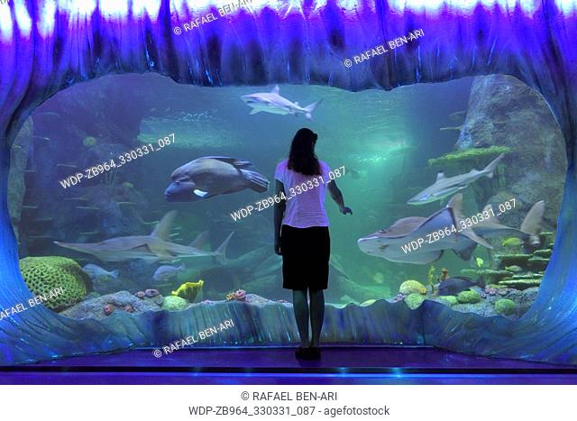 SYDNEY - FEB 21 2019:Woman looking at Sharks in Sea Life Aquarium in Sydney New South Wales Australia that displaying more than 700 species and 13