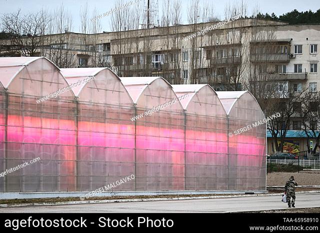 RUSSIA, REPUBLIC OF CRIMEA - DECEMBER 21, 2023: An outside view of the Belogorsky greenhouse complex growing cucumbers. Sergei Malgavko/TASS