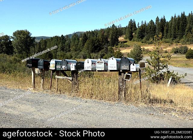 Long row of rural mailboxes along county road