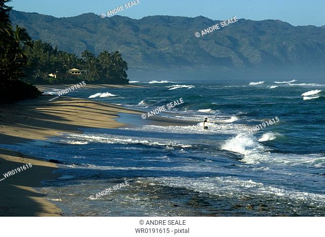 Surfer enters rough sea, North shore, Oahu, Hawaii, USA