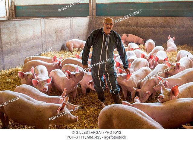 France, Région Normandie, Seine-Maritime, Terroir de Caux, Ambrumesnil, Le Cochon Campagnard, vente de produits fermiers à la ferme, charcuterie, elevage porcin