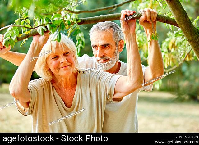 Glückliches Paar Senioren steht unter einem Baum im Sommer