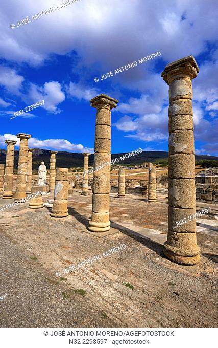 Bolonia, Baelo Claudia, Archaeological site , old roman city , Strait of Gibraltar Natural Park, Costa de la Luz, Cadiz, Andalusia, Spain, Europe