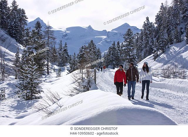 Switzerland, Europe, mountain, mountains, winter, canton, GR, Graubünden, Grisons, Engadin, Engadine, Upper Engadine, footpath, trail, hiking path, walking