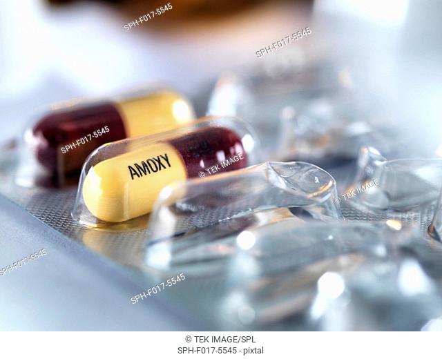 Amoxicillin antibiotic drug capsules in a nearly-finished foil pack
