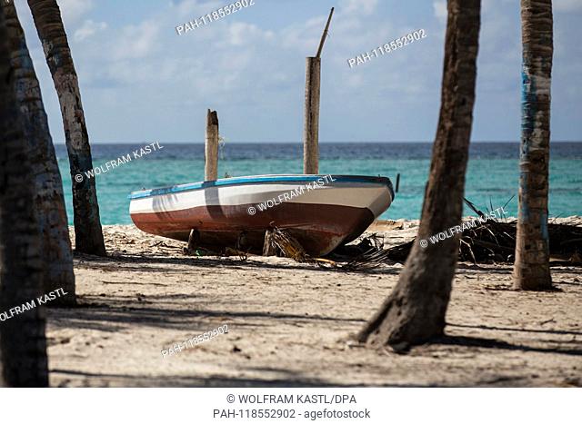 2018.22.09, Maledives, Hanimadoo: A boat lies between the palmtrees. | usage worldwide. - Hanimadoo/Haa Dhaalu Atoll/Maldives