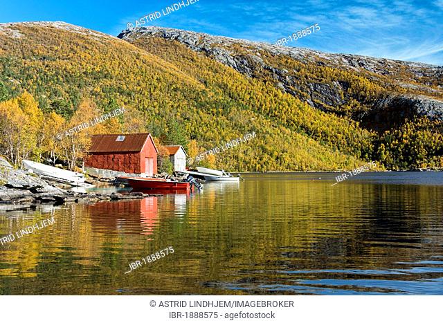 Fishing cabins by Valnesvatnet Lake, Nordland, Norway, Scandinavia, Europe