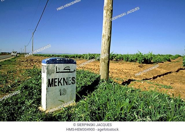Morocco, Meknes, vineyard, kilometre marker of Sahari Wine producing domain