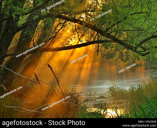 Europe, Germany, Hesse, Lahn-Dill-Bergland Nature Park, the Lahn at the Lahnbogen near Roth, morning mood, sun rays