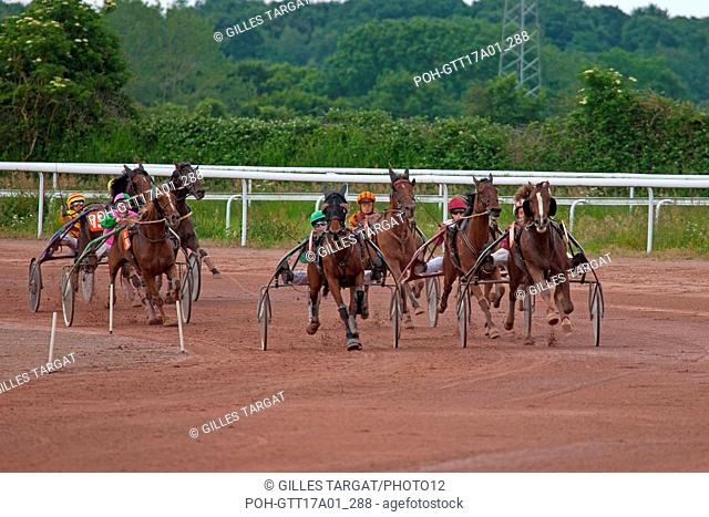 France, Lower Normandy, Calvados, Lisieux, race of the tresorerie, trot races / trotting, Sunday 8 June 2014, Photo Gilles Targat