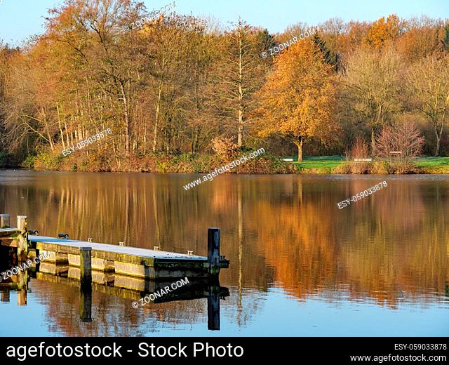 Herbst an einem See im Münsterland