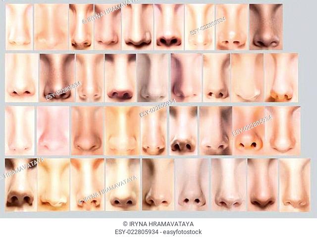 Body Parts. Great Variety of Women's Noses. Set of Nostrils