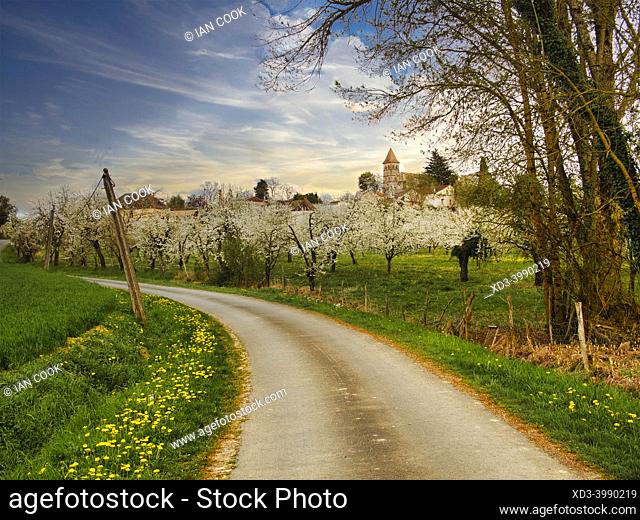 country road among plum blossoms, Serignac-Peboudou, Lot-et-Garonne department, Nouvbelle-Aquitaine, France