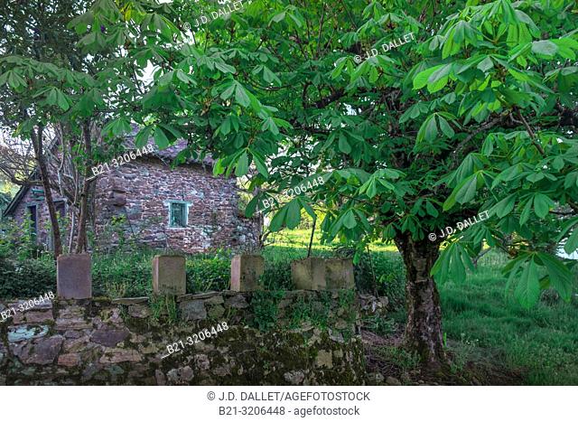 France. Auvergne, stone house at Saint Santin