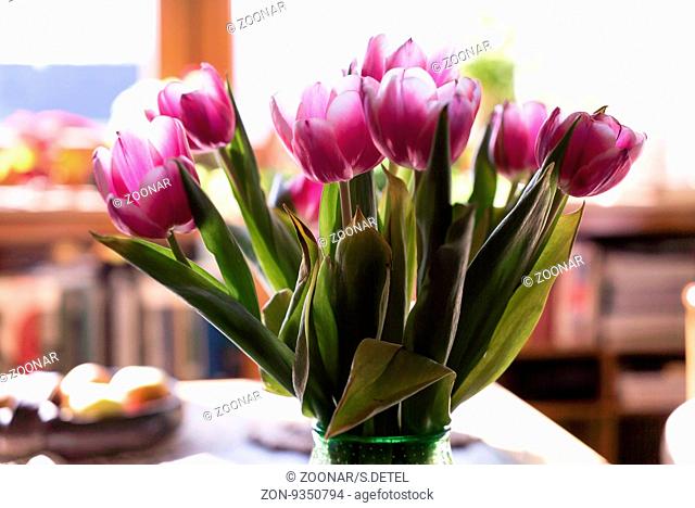 Beautiful bouquet of purple tulips, close up