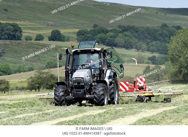 Rowing up grass for silage using a Pottinger rake pulled by a Hurlimann tractor