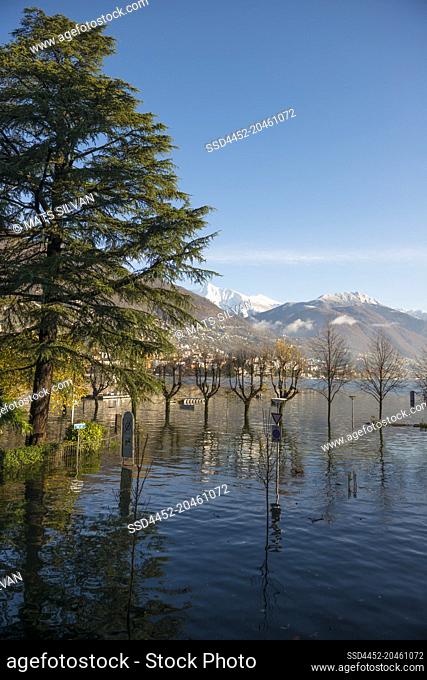 Flooding Street and Mountain and Bare Tree in Locarno, Switzerland