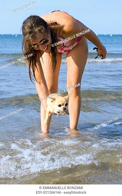 chihuahua and girl on the beach