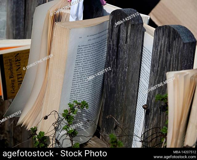 damp books in the garden fence, air drying