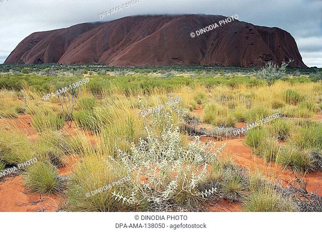 Ayer's Rock ; Northern Territory ; Australia