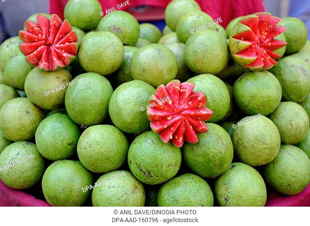 Red guava ; Bhavnagar market ; Gujarat ; India