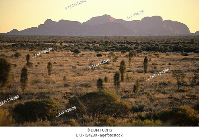 view to Kata Tjuta Olgas, Uluru National Park, Central Australia, Northern Territory, Australia