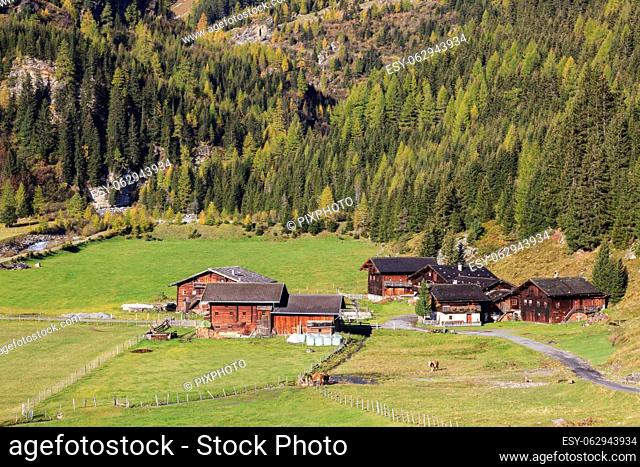 Alp farm in a valley