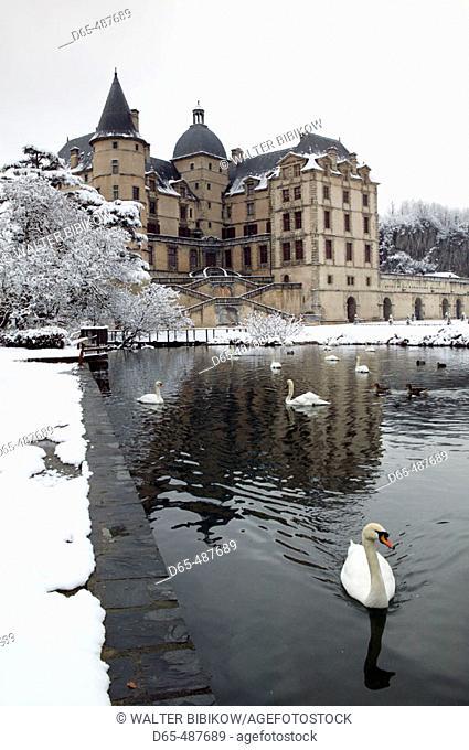 Swan Lake. Chateau de Vizille Park after winter storm. Vizille. Isère. French Alps. France