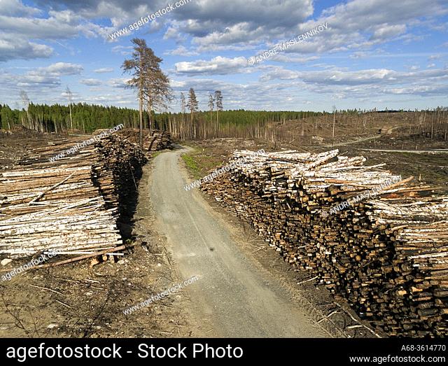 Fire-damaged timber after the large forest fire in Västmanland seen at the height of Ängelsberg and north. Sweden's largest clear-cut. .