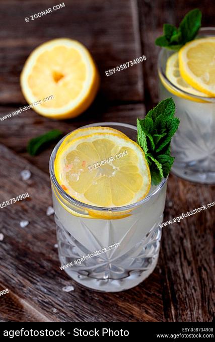 Gin Tonic mit Zitrone in Scheiben und frischen Minzblaettern