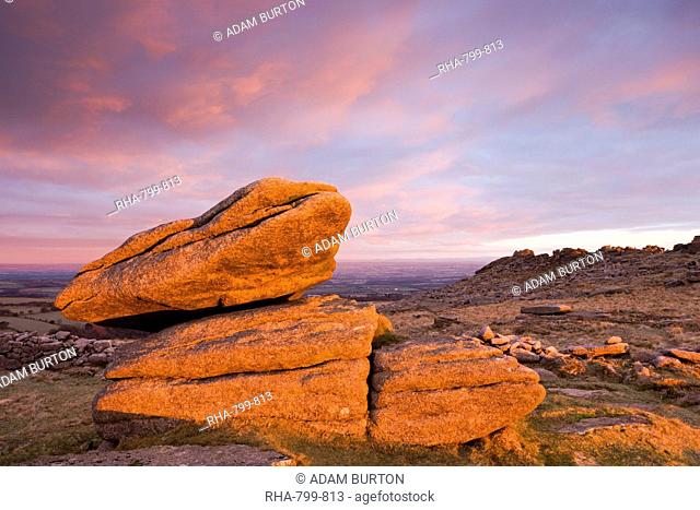 The first rays of early morning winter sunlight bathe a granite Logan Rock in a rich glow, Higher Tor, Dartmoor National Park, Devon, England, United Kingdom