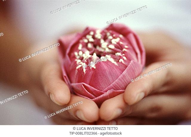Woman's close up holding a lotus flower