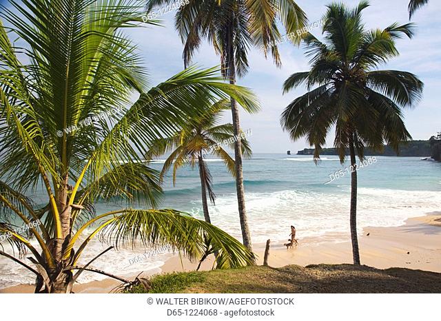 Dominican Republic, North Coast, Abreu, Playa Preciosa beach