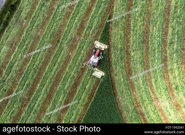 Aerial view from above tractor harvesting green hay field, Auvergne, France