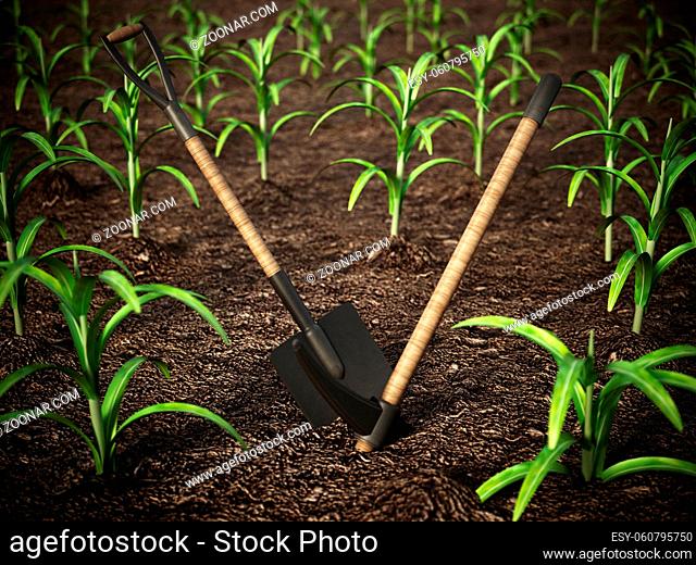 Shovel and pick axe standing on the corn field. 3D illustration