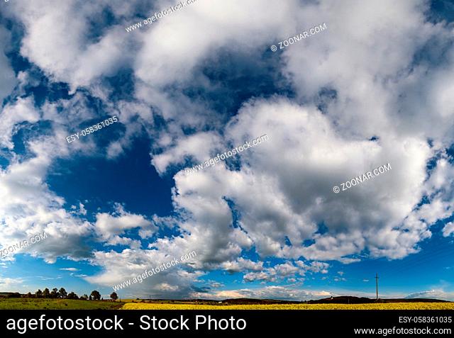 White cumulus clouds in blue sky over spring rapeseed evening fields and rural hills high resolution background. Natural seasonal, weather, climate