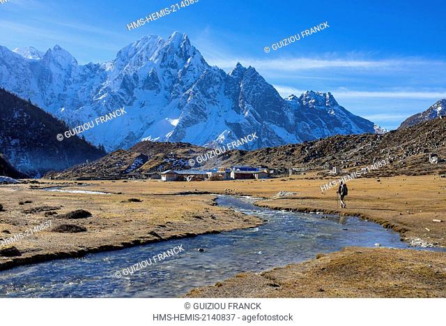 Nepal, Gandaki zone, Manaslu Circuit, between Dharamsala and Bimthang, Bimthang (alt.3800m)