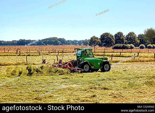 Tractor with a tedder in the field