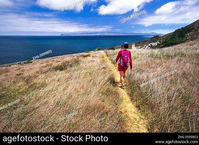 Hiker on the Torrey Pines trail, Santa Rosa Island, Channel Islands National Park, California USA