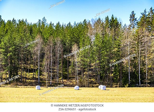 Hay bales on a field in Sweden